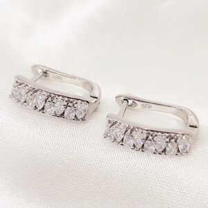 Σκουλαρίκια zircon