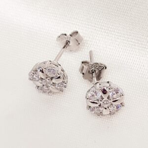 Σκουλαρίκια zircon