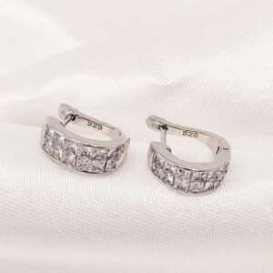 Σκουλαρίκια zircon