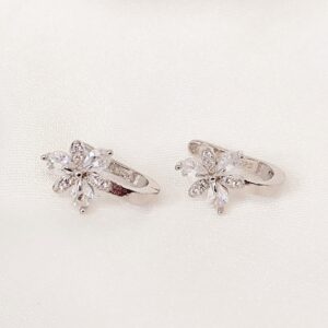 Σκουλαρίκια zircon