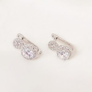 Σκουλαρίκια zircon