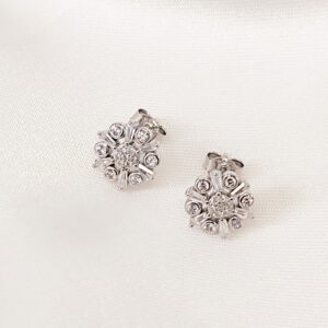 Σκουλαρίκια zircon