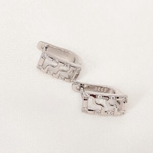 Σκουλαρίκια zircon