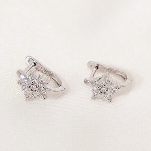 Σκουλαρίκια zircon