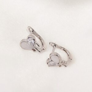 Σκουλαρίκια zircon