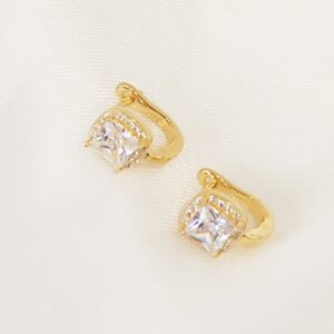 Σκουλαρίκια zircon