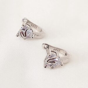 Σκουλαρίκια zircon