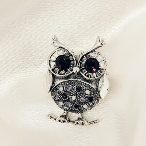 Καρφίτσα owl