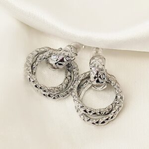 Σκουλαρίκια steel