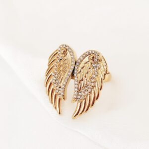Δαχτυλίδι wings
