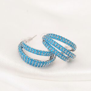 Σκουλαρίκια zircon