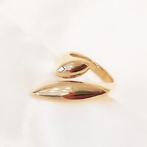 Δαχτυλίδι steel