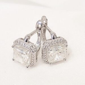 Σκουλαρίκια zircon