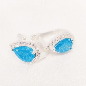 Σκουλαρίκια zircon