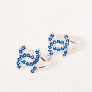 Σκουλαρίκια zircon