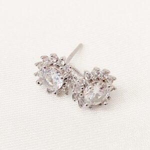 Σκουλαρίκια zircon