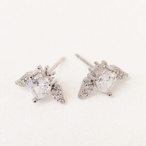 Σκουλαρίκια zircon
