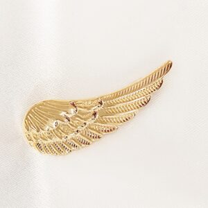 Καρφίτσα wing