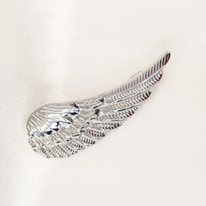 Καρφίτσα wing