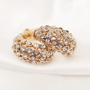 Σκουλαρίκια zircon